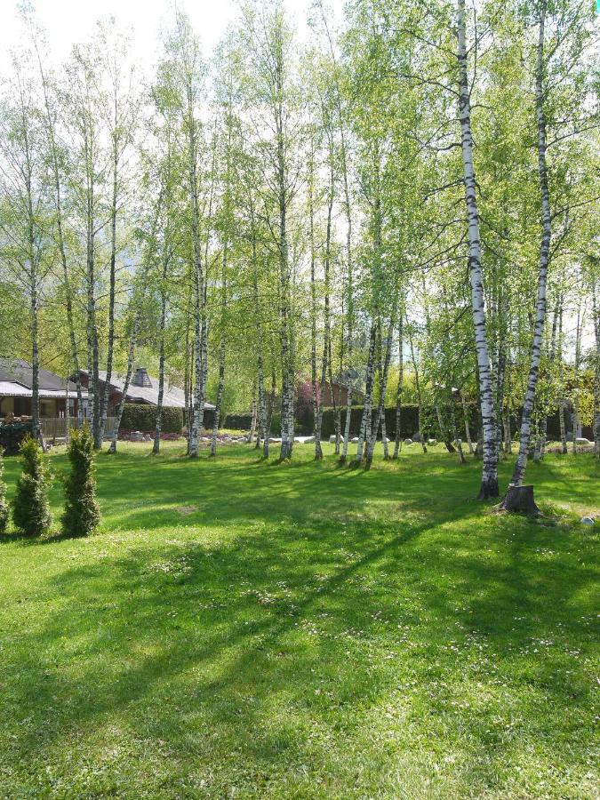 Вилла Chalet Champraz - Free Parking Шамони Экстерьер фото