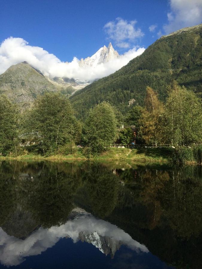 Chalet Champraz - Free Parking Шамони Экстерьер фото
