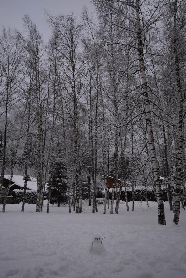 Chalet Champraz - Free Parking Шамони Экстерьер фото